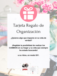 Regalo plan de organizacion