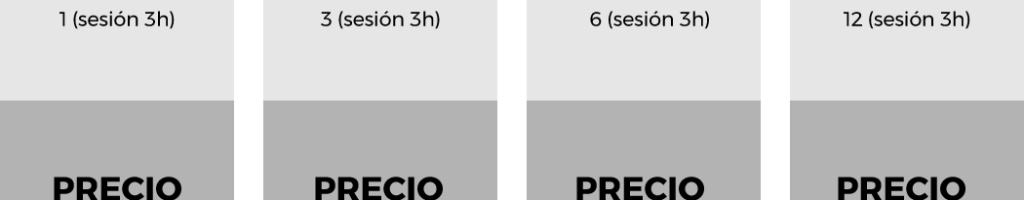 SESIONES organizadora profesional